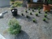 27072011158.jpg