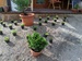 27072011159.jpg