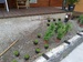 27072011160.jpg