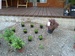 27072011161.jpg