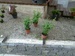 27072011162.jpg
