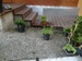 27072011163.jpg