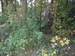 DSCF1086.jpg