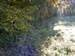 DSCF1087.jpg