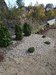 IMG_20181015_132815.jpg