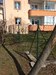 IMG_20190322_115321.jpg
