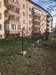 IMG_20190322_115435.jpg