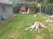 IMG_20200504_162836.jpg