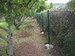 IMG_20200616_164621.jpg