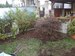 IMG_20201015_113841.jpg