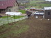 P3190141.JPG
