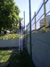P5010084.JPG