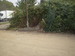 P8250007.JPG