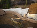 P9190004.JPG