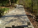 PA291220.JPG