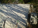 PA291225.JPG