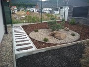 IMG_20200608_140743.jpg
